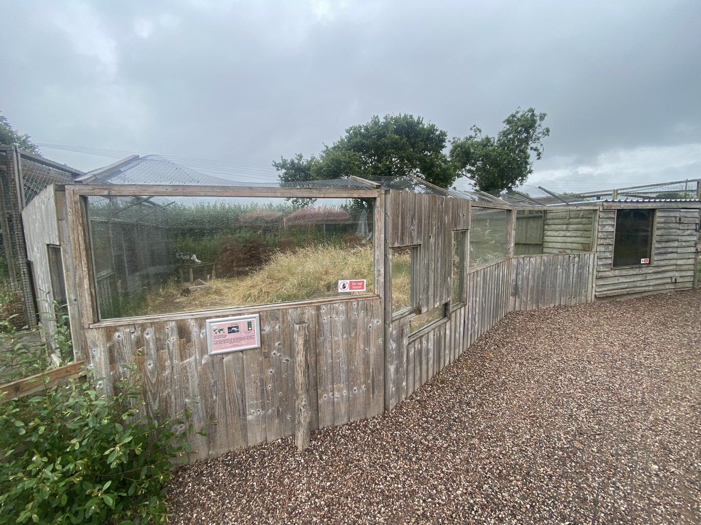 Arctic fox enclosure 300623