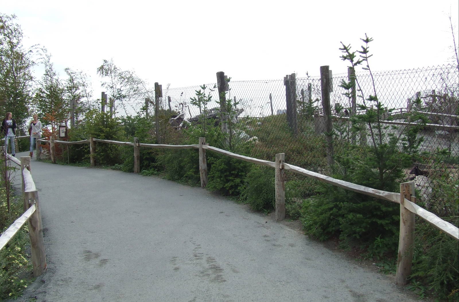 Arctic Fox enclosure, Arctica