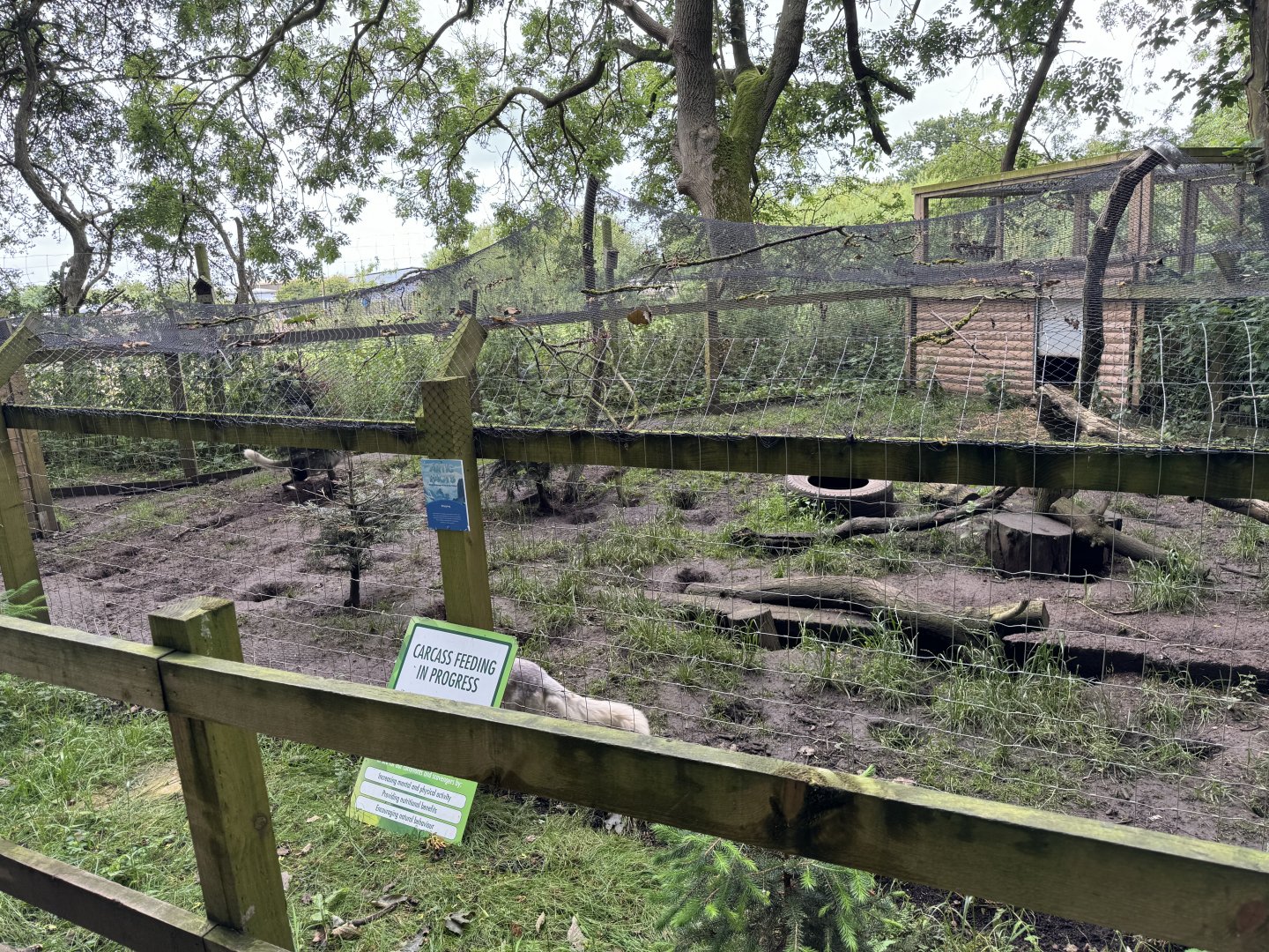 Arctic Fox Enclosure at Bridlington Animal Park (July 2024)