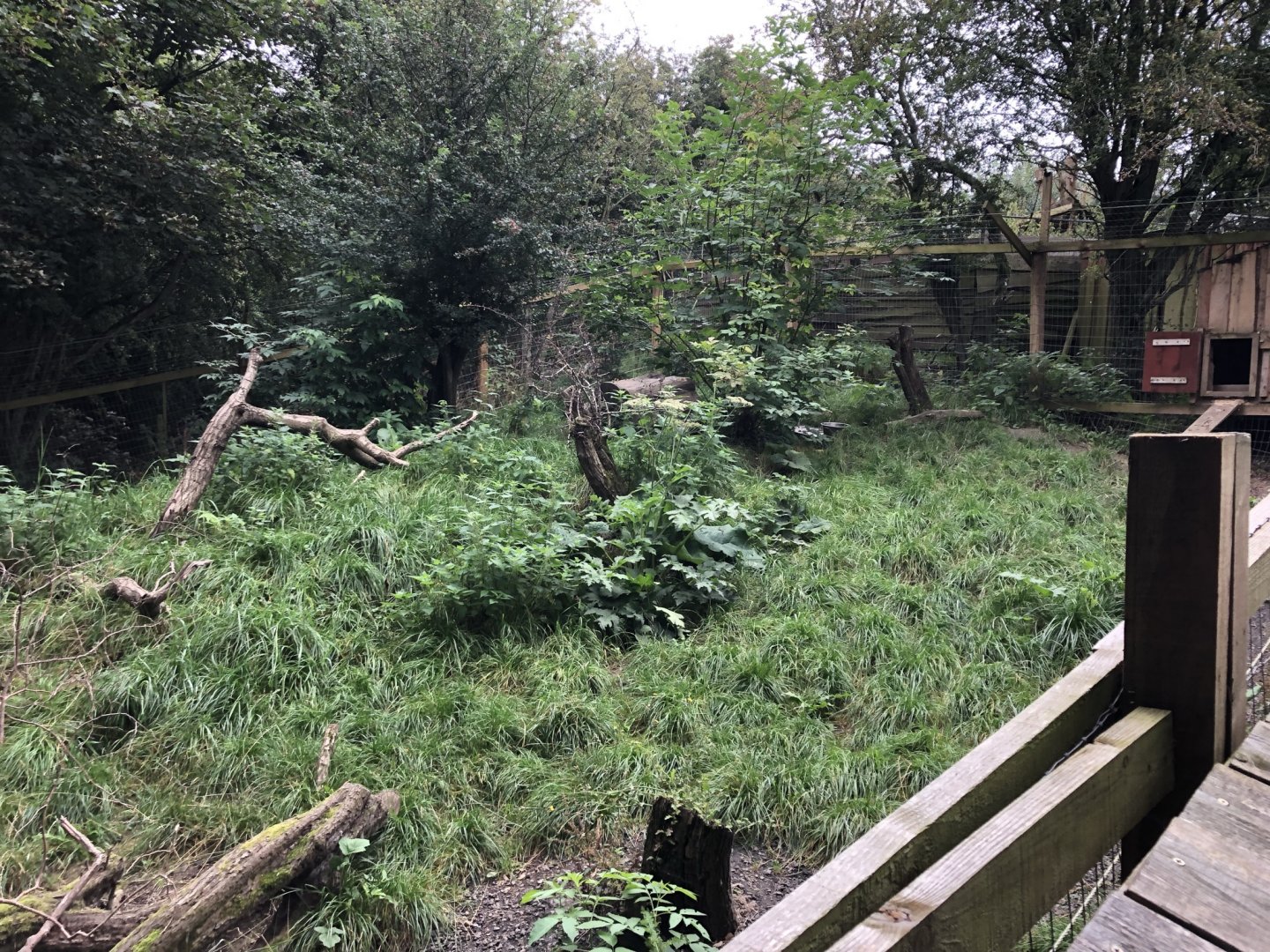 Arctic Fox Enclosure at Northumberland Country Zoo (September 2021)