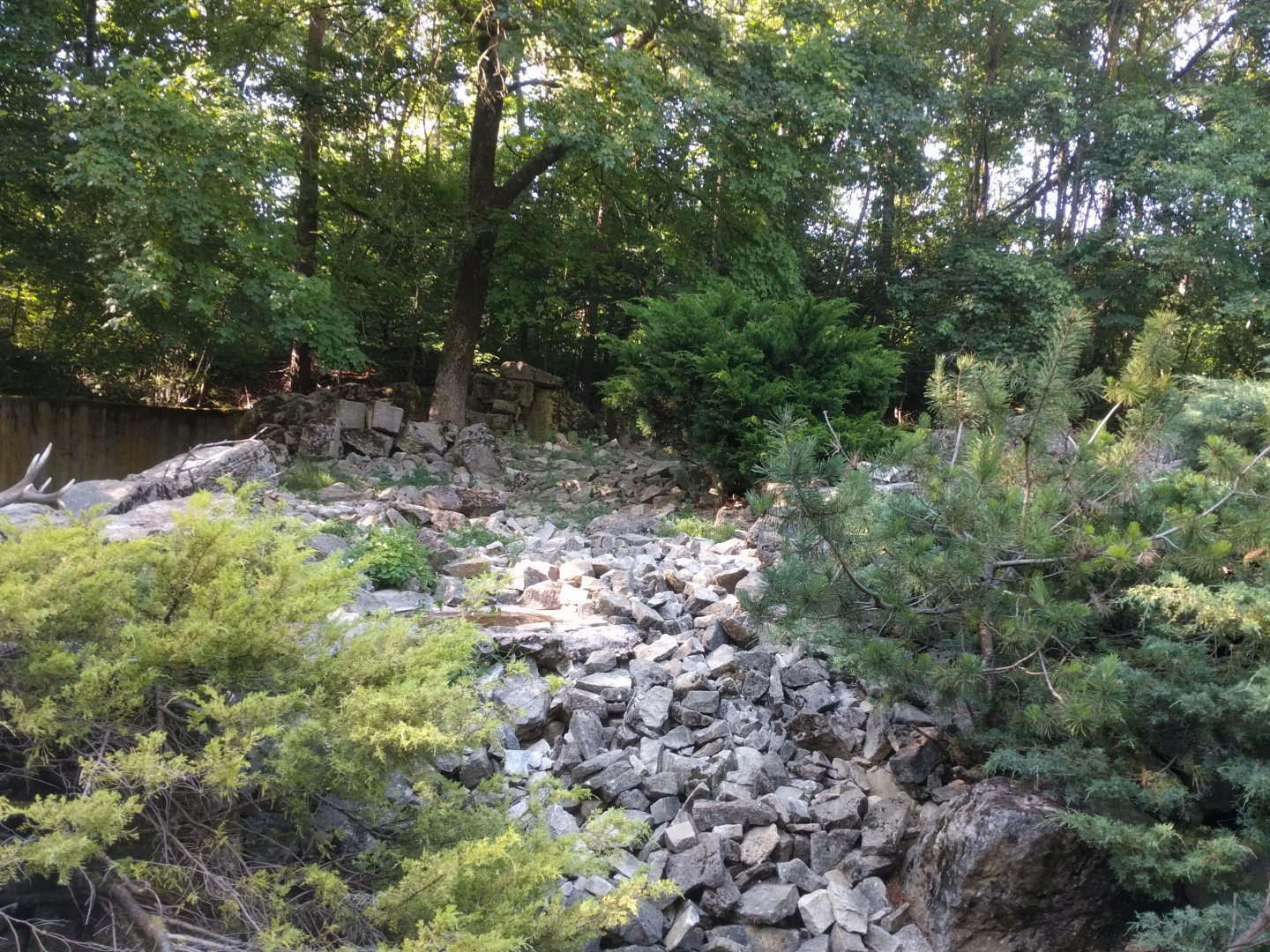 Arctic fox Enclosure
