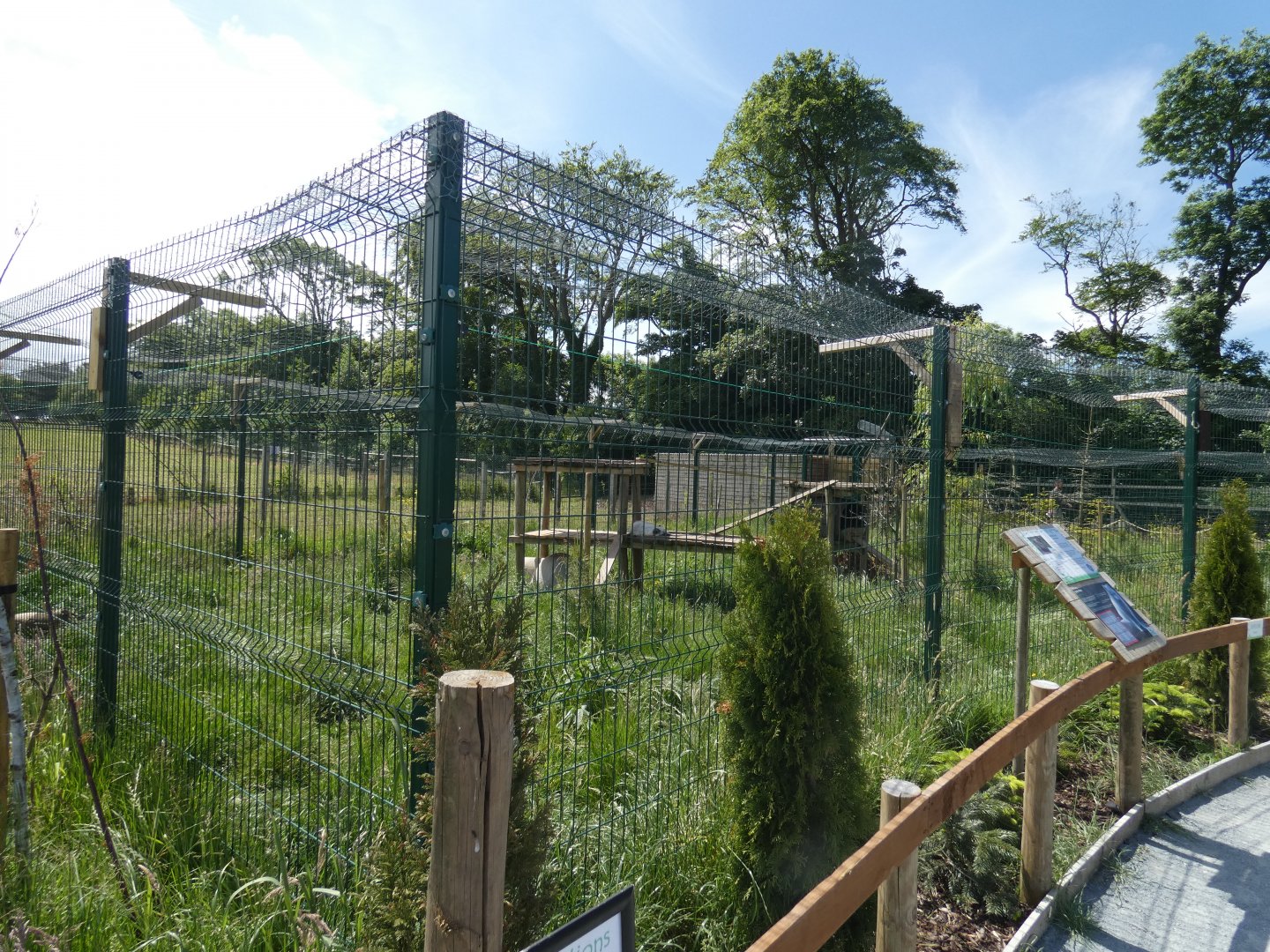 Arctic fox enclosure