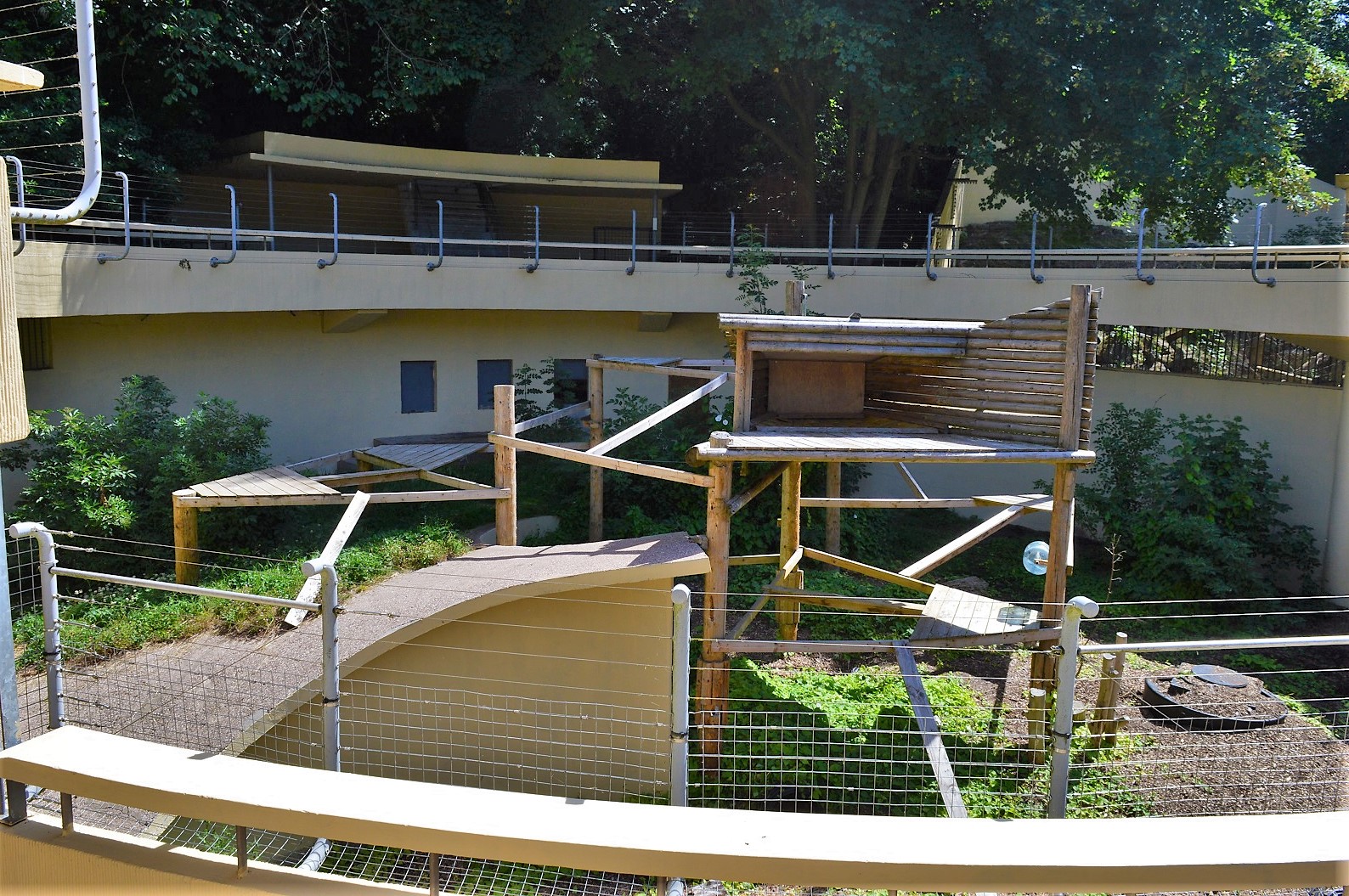 Arctic fox enclosure