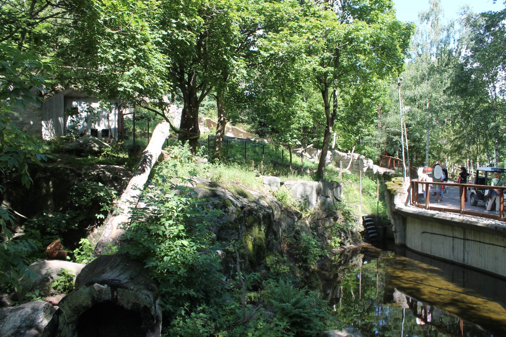 Arctic Fox Enclosure