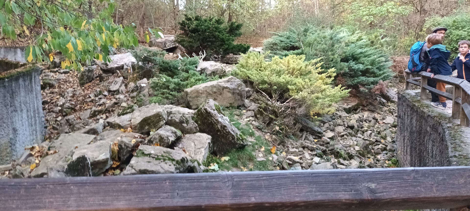 Arctic Fox Enclosure