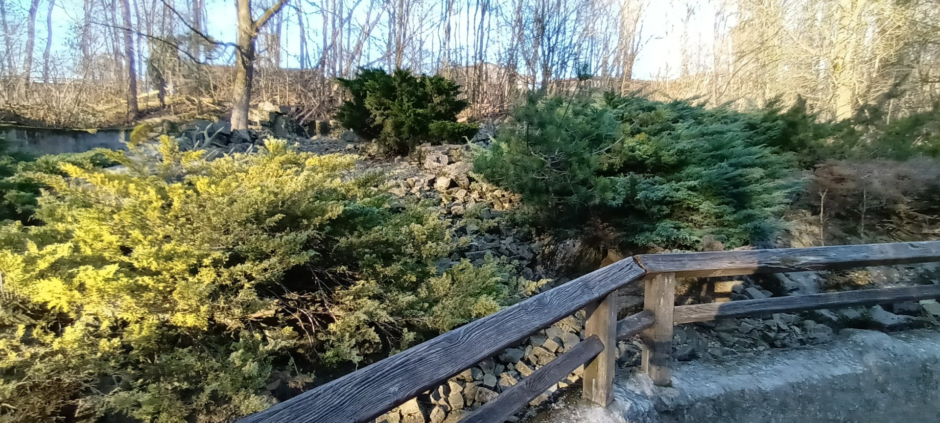 Arctic Fox Enclosure