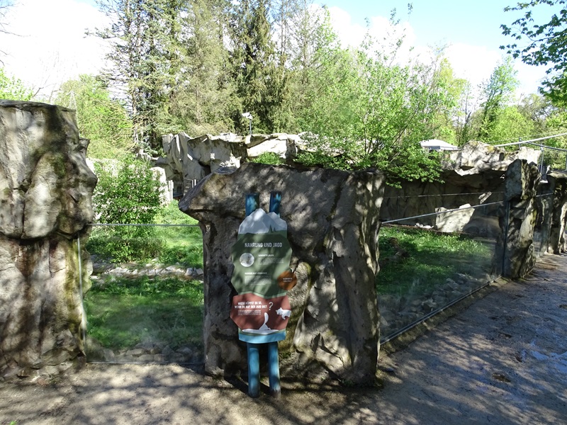 Arctic fox enclosure