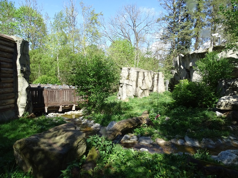 Arctic fox enclosure