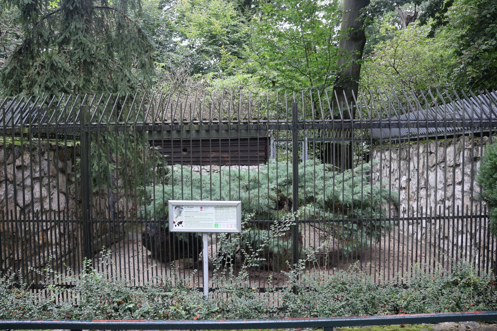 Arctic Fox enclosure