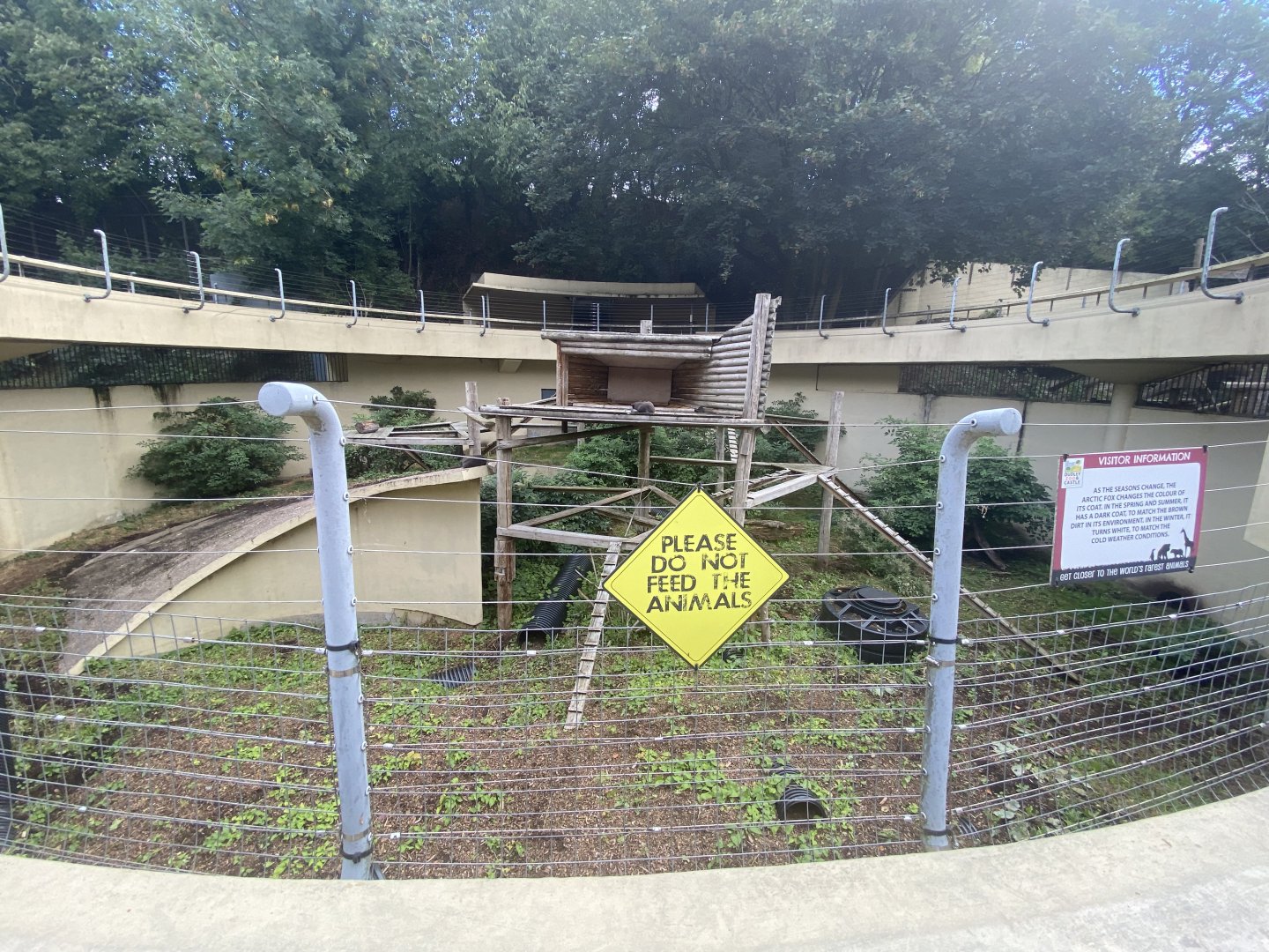 Arctic fox enclosure