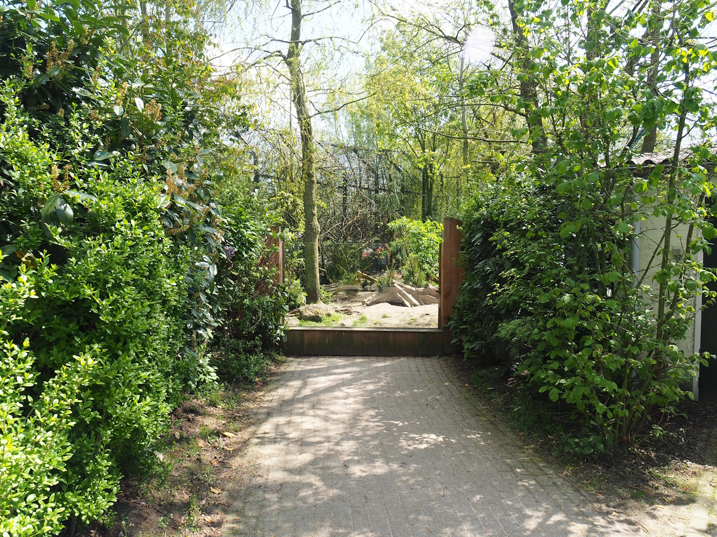 Arctic fox exhibit, 2023-04-30