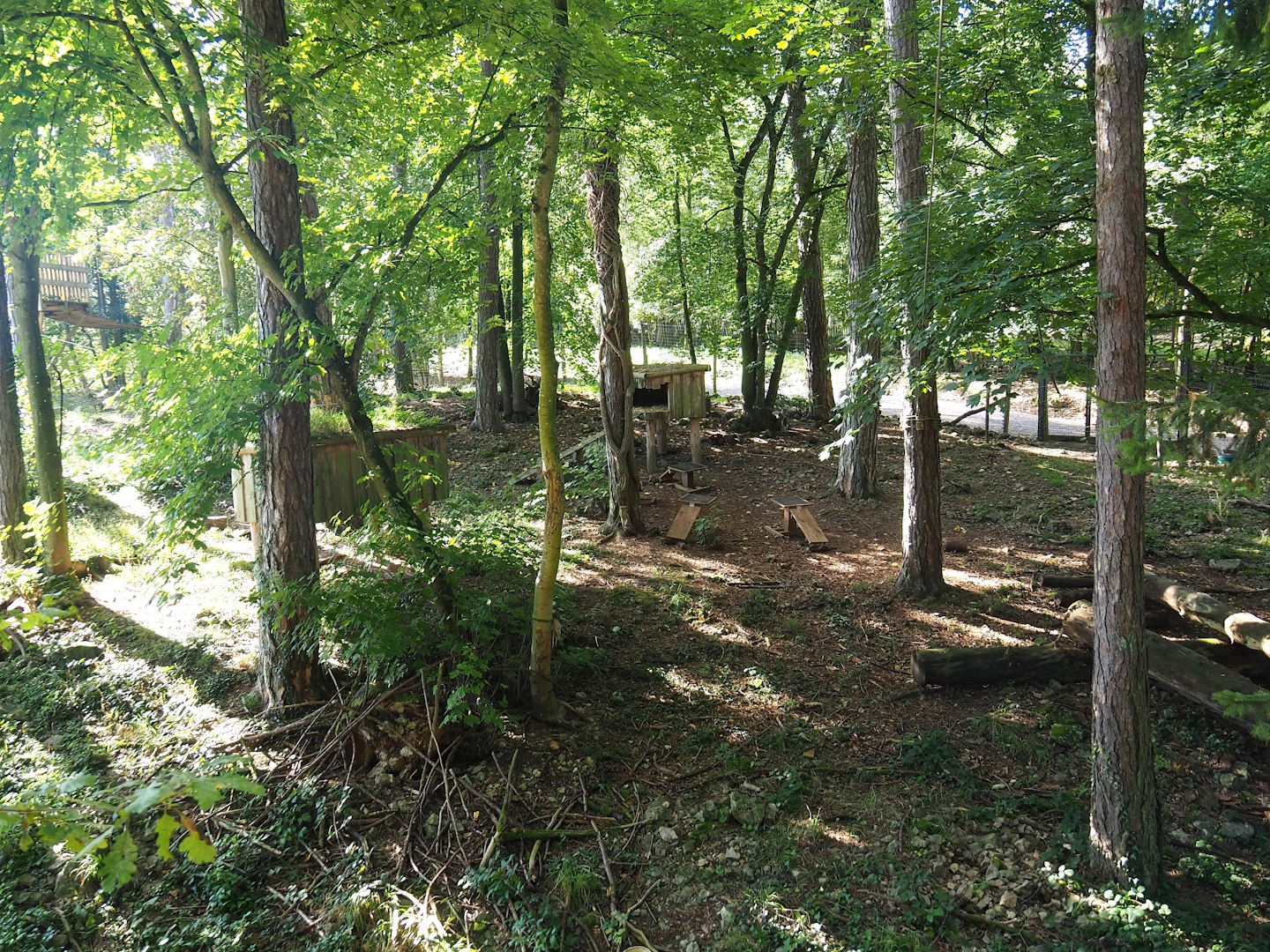Arctic fox exhibit, 2023-09-26