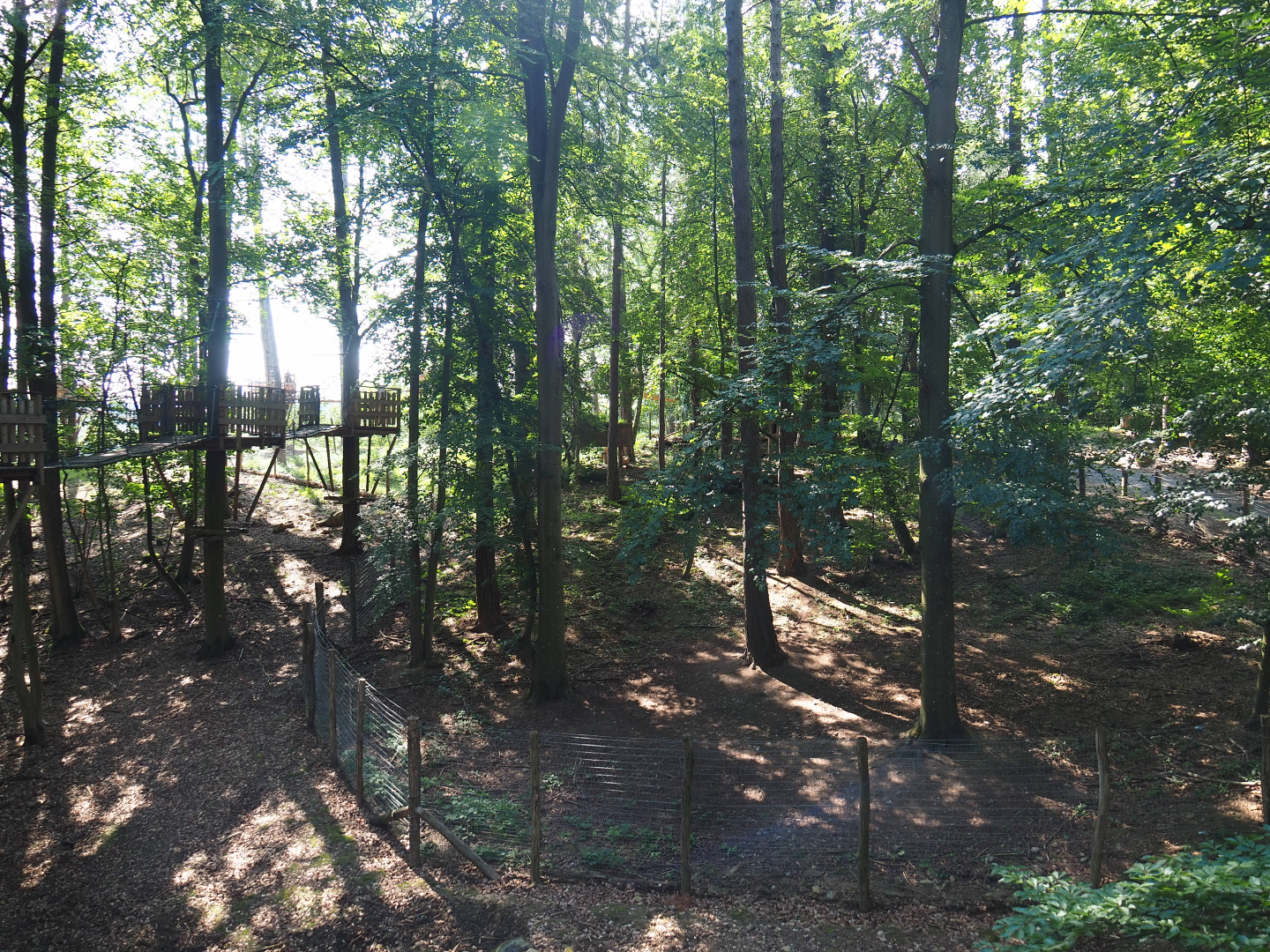 Arctic fox exhibit and Canopy trail, 2020-07-12