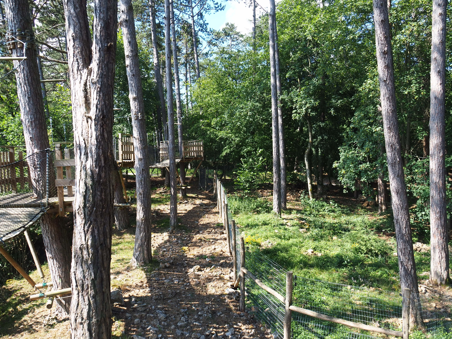Arctic fox exhibit and Canopy trail, 2020-07-12
