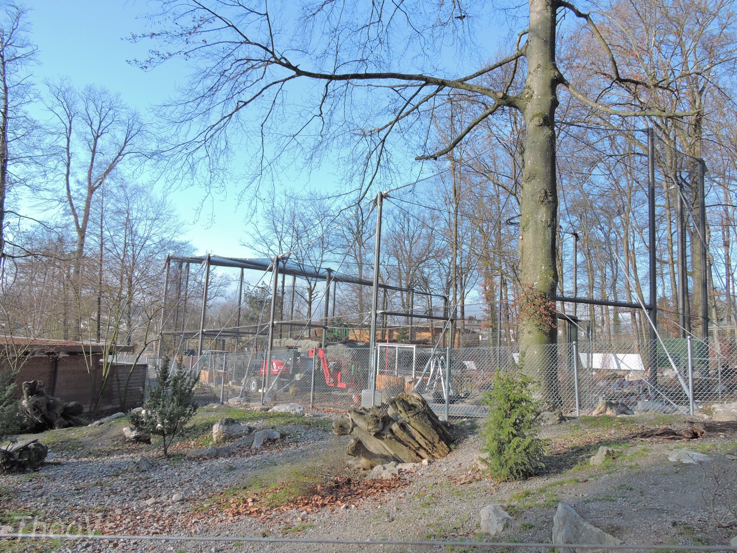 Arctic fox exhibit and owl aviary [2015]