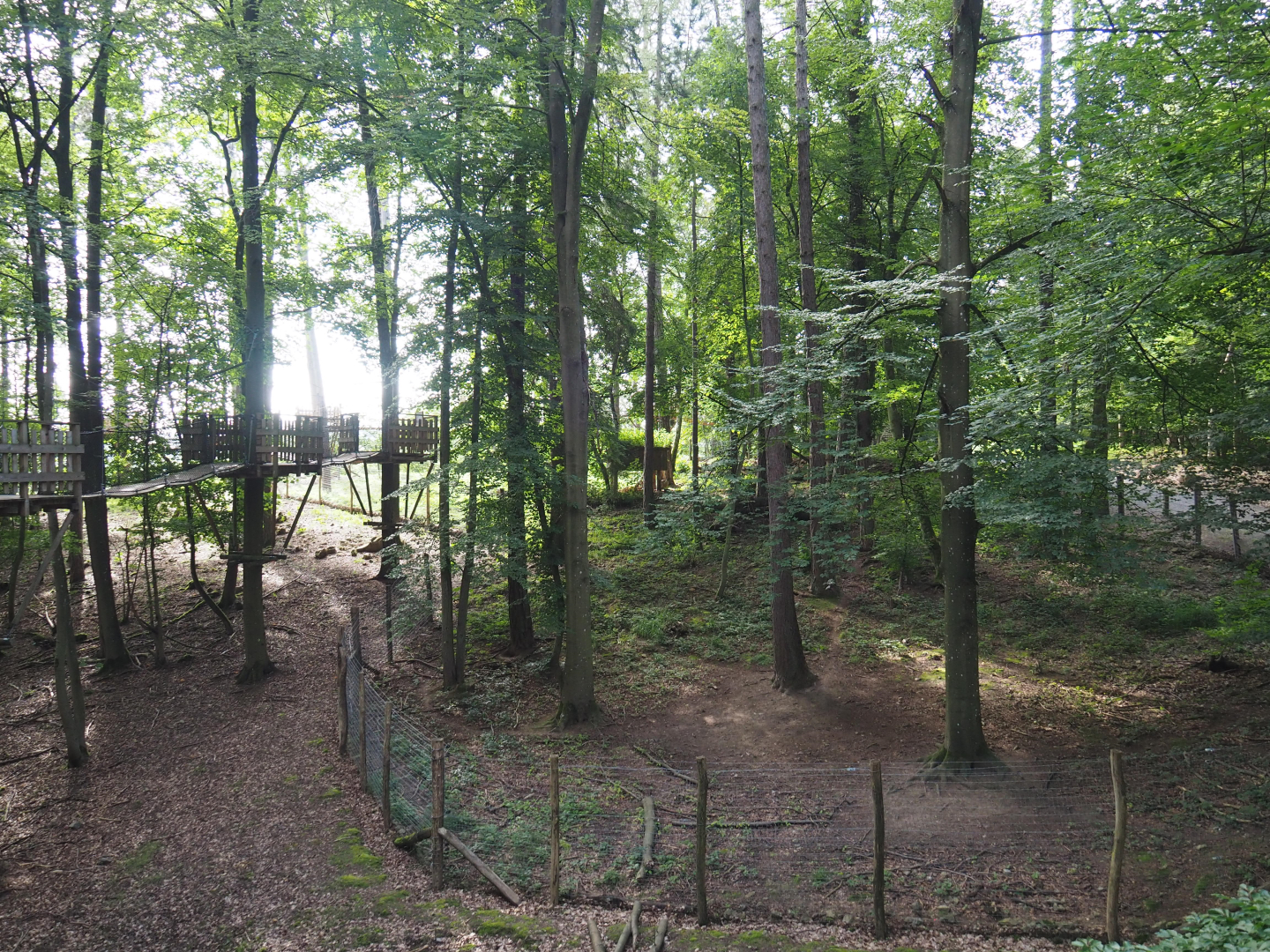 Arctic fox exhibit and part of the canopy trail, 2021-08-15