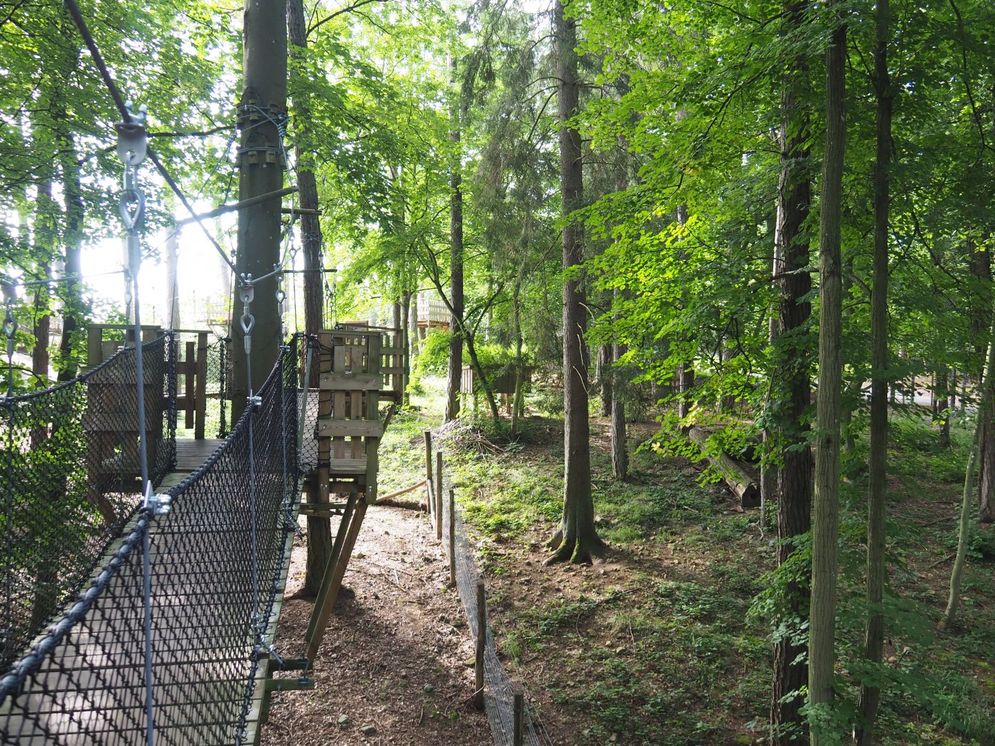 Arctic fox exhibit and part of the canopy trail, 2021-08-15