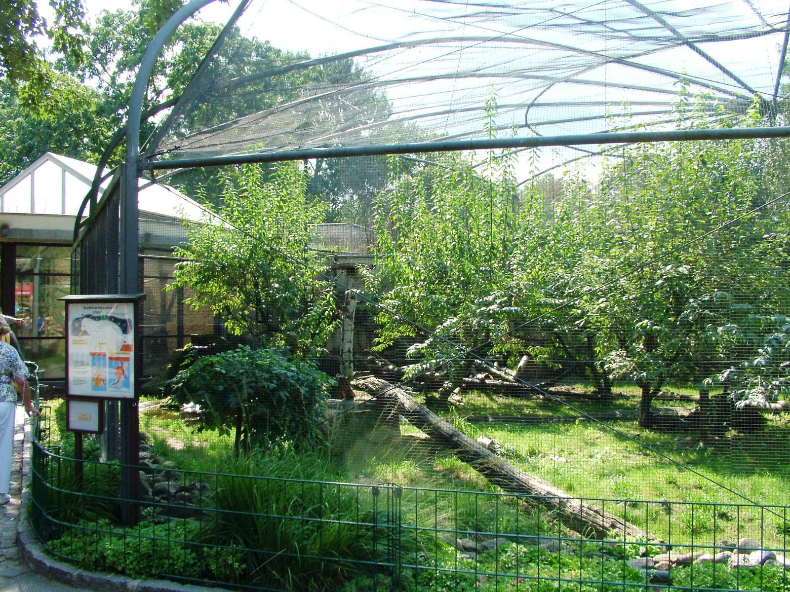 Arctic Fox Exhibit at Dresden, 29/08/12