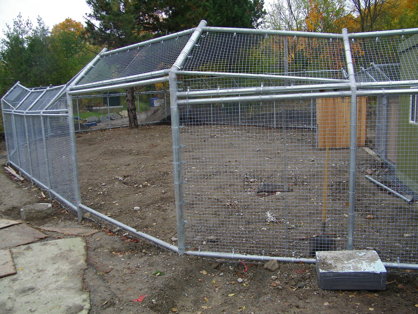 Arctic Fox Exhibit Construction