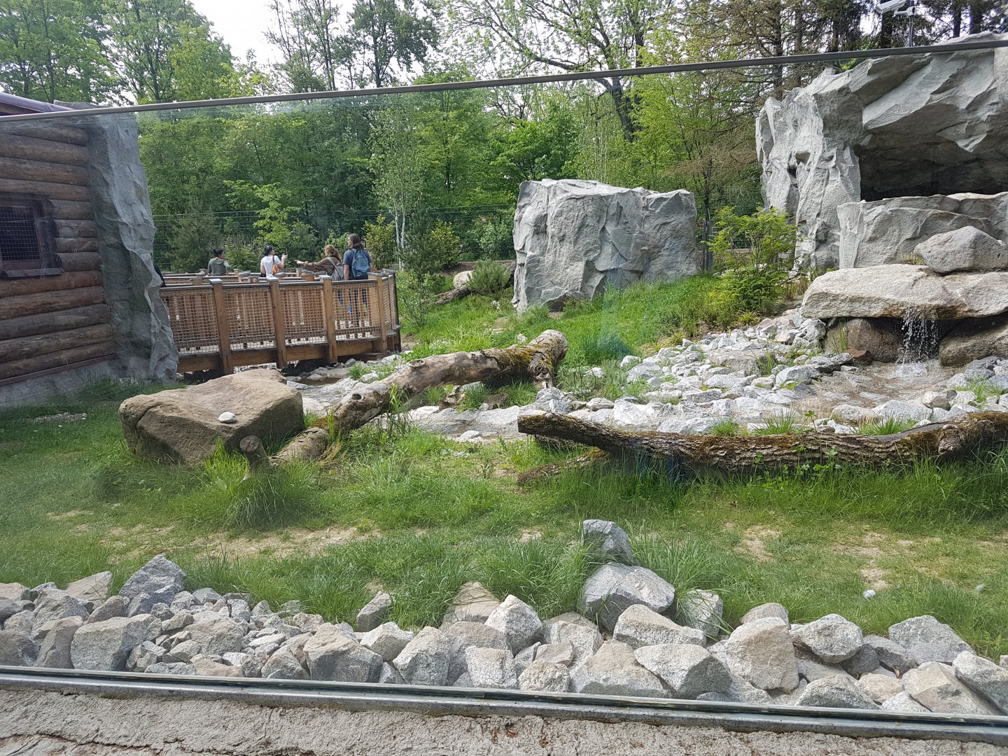 Arctic Fox Exhibit in Polar World