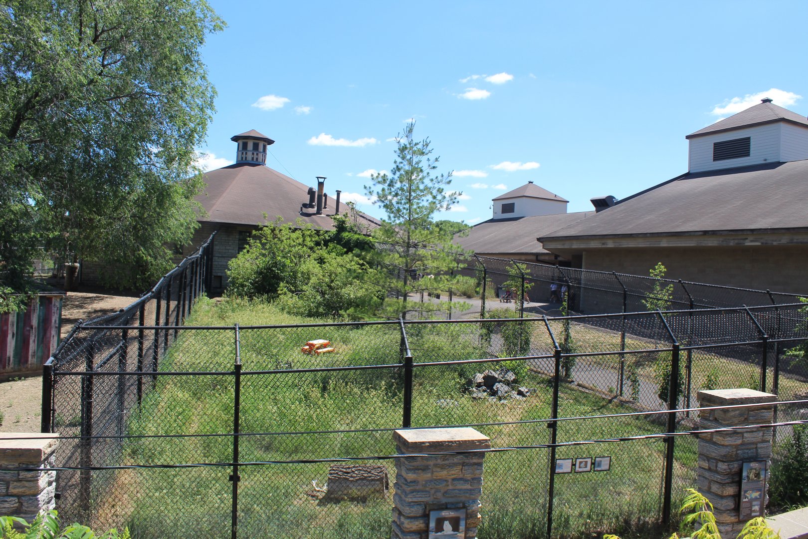 Arctic Fox Exhibit - Northern Hoofstock Barn