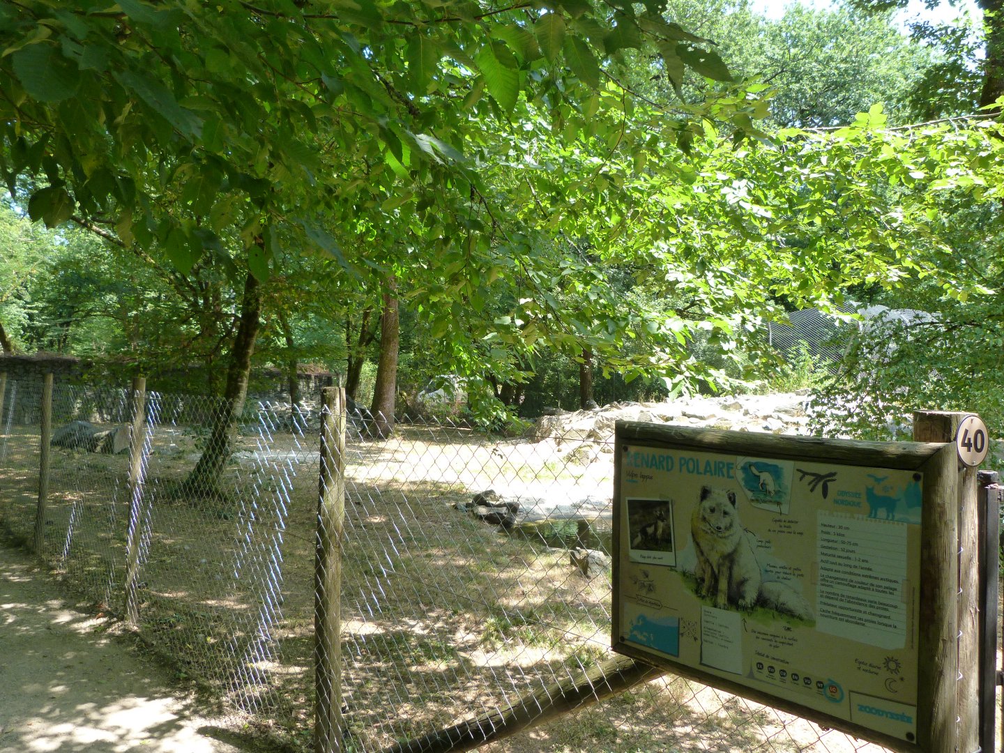 Arctic fox exhibit -Zoodyssée (2025)