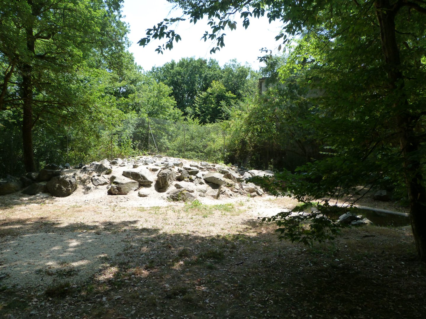 Arctic fox exhibit -Zoodyssée (2025)