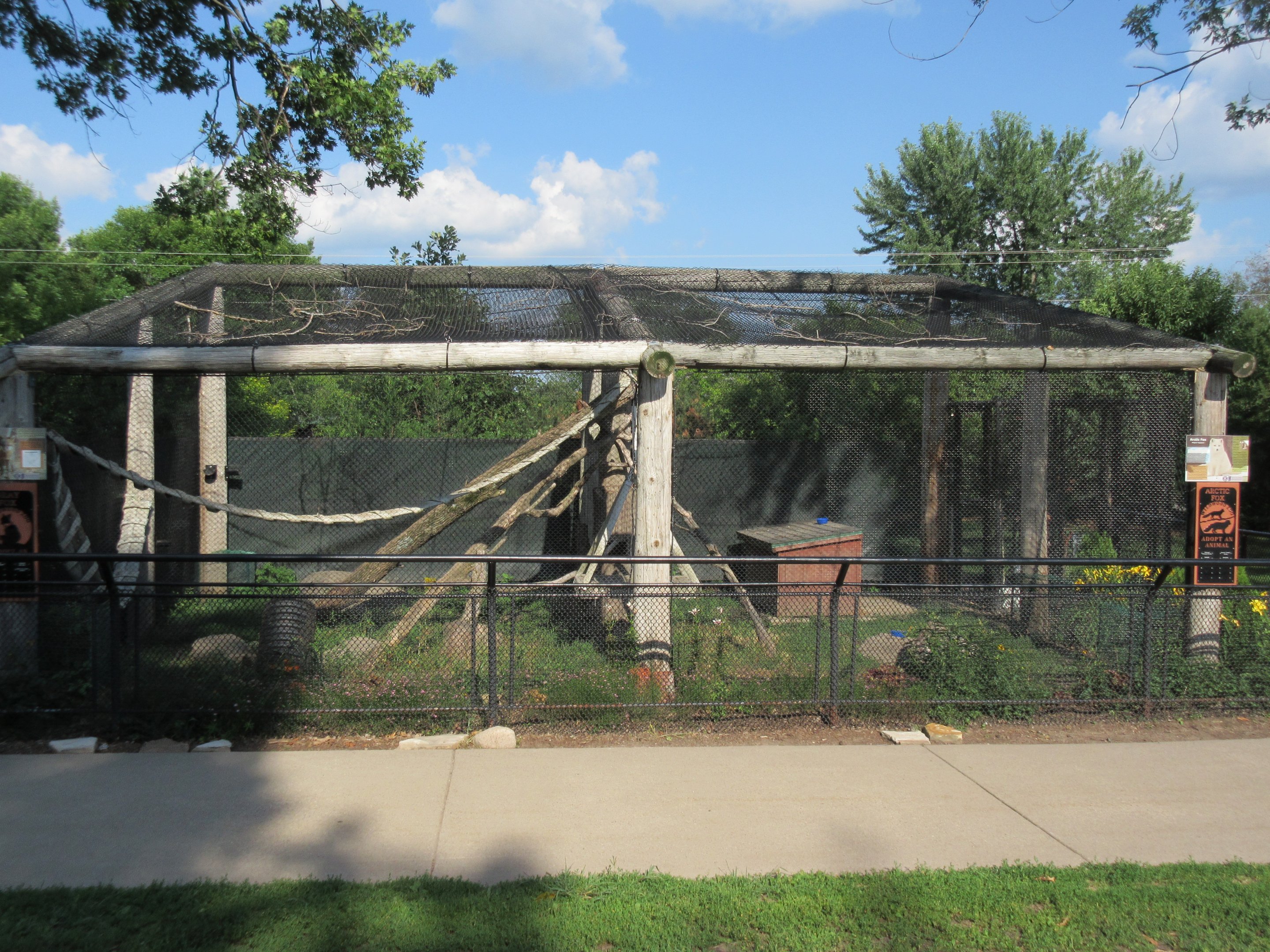 Arctic Fox/Gray Fox Exhibit