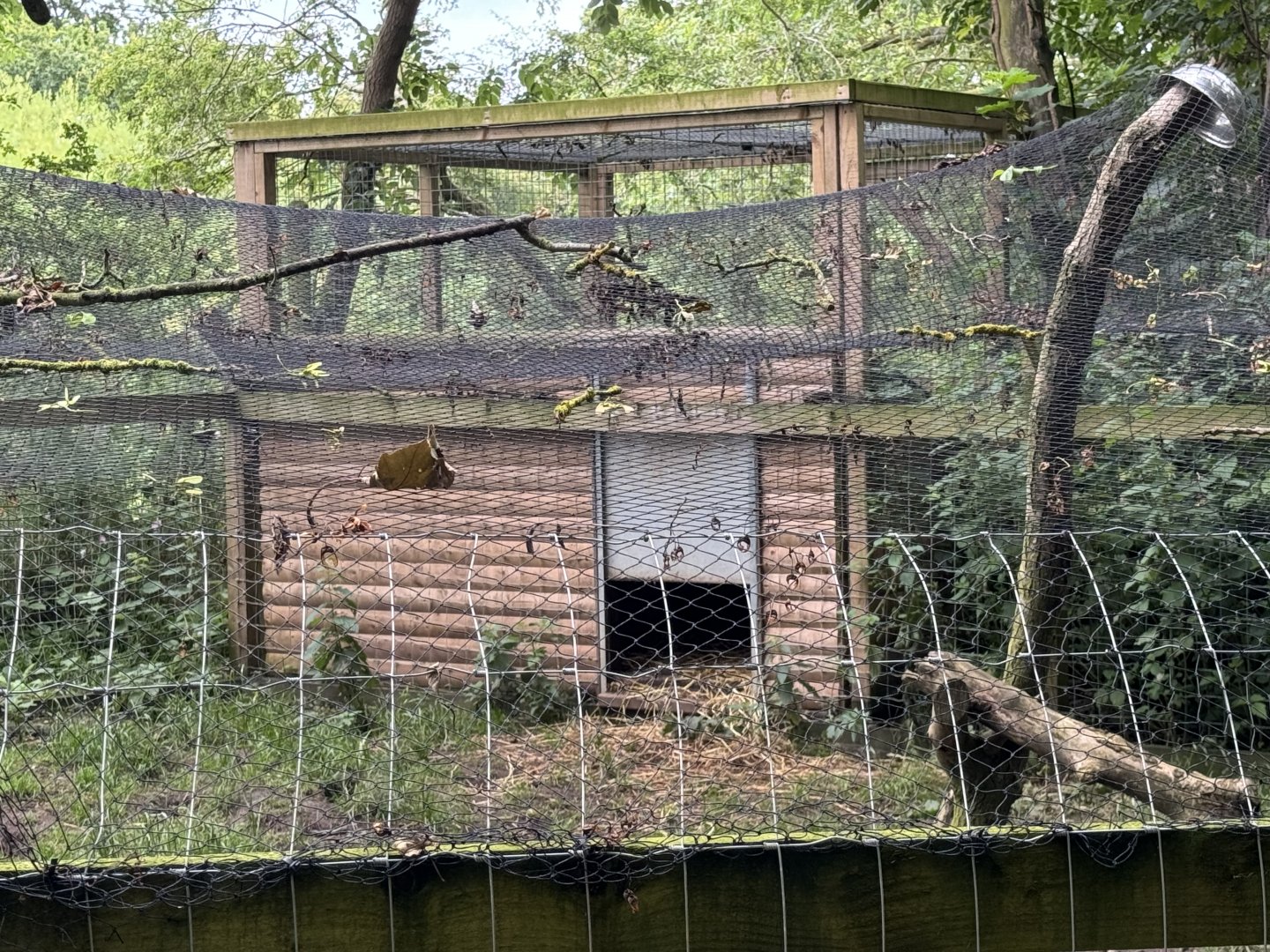 Arctic Fox Housing at Bridlington Animal Park (July 2024)