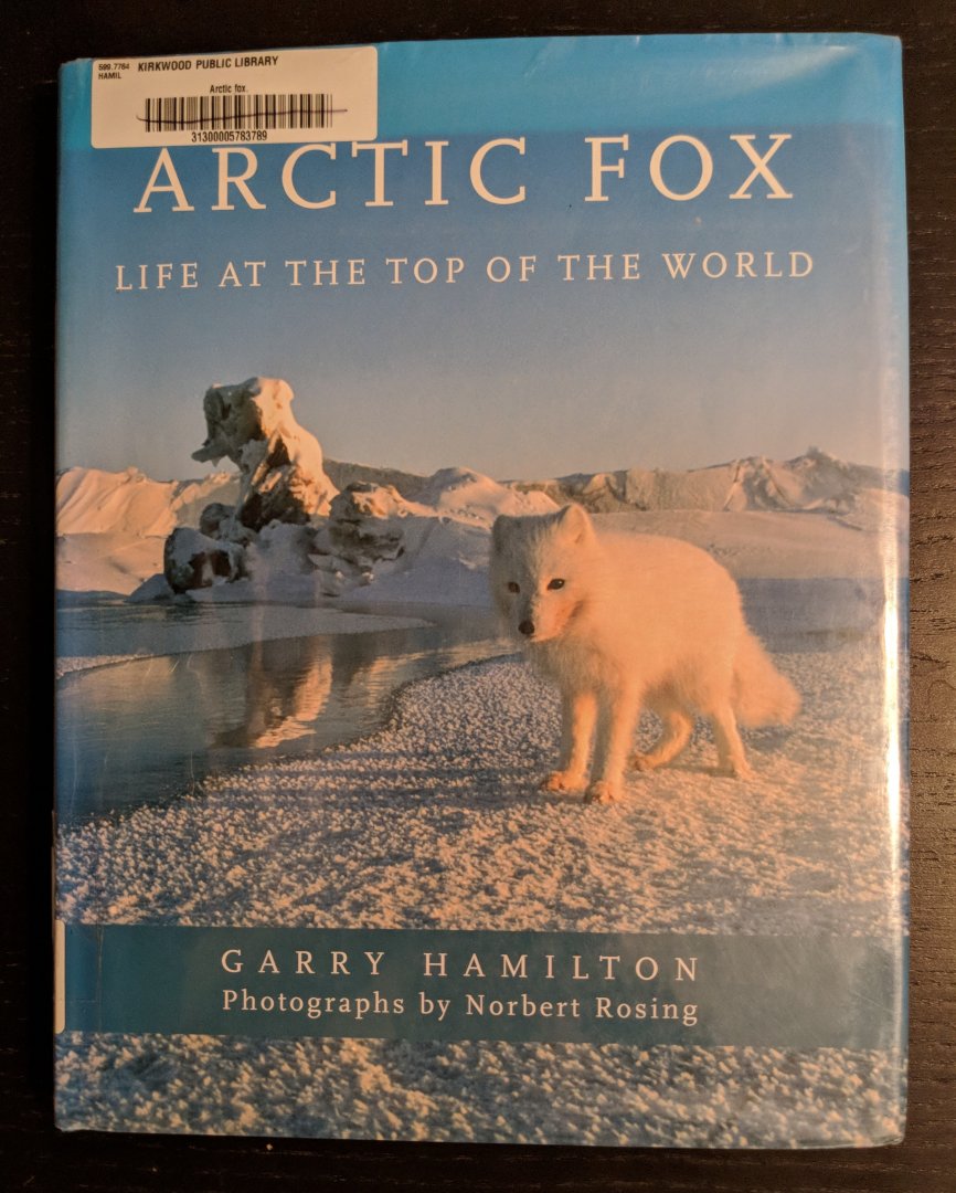 Arctic Fox: Life at the Top of the World