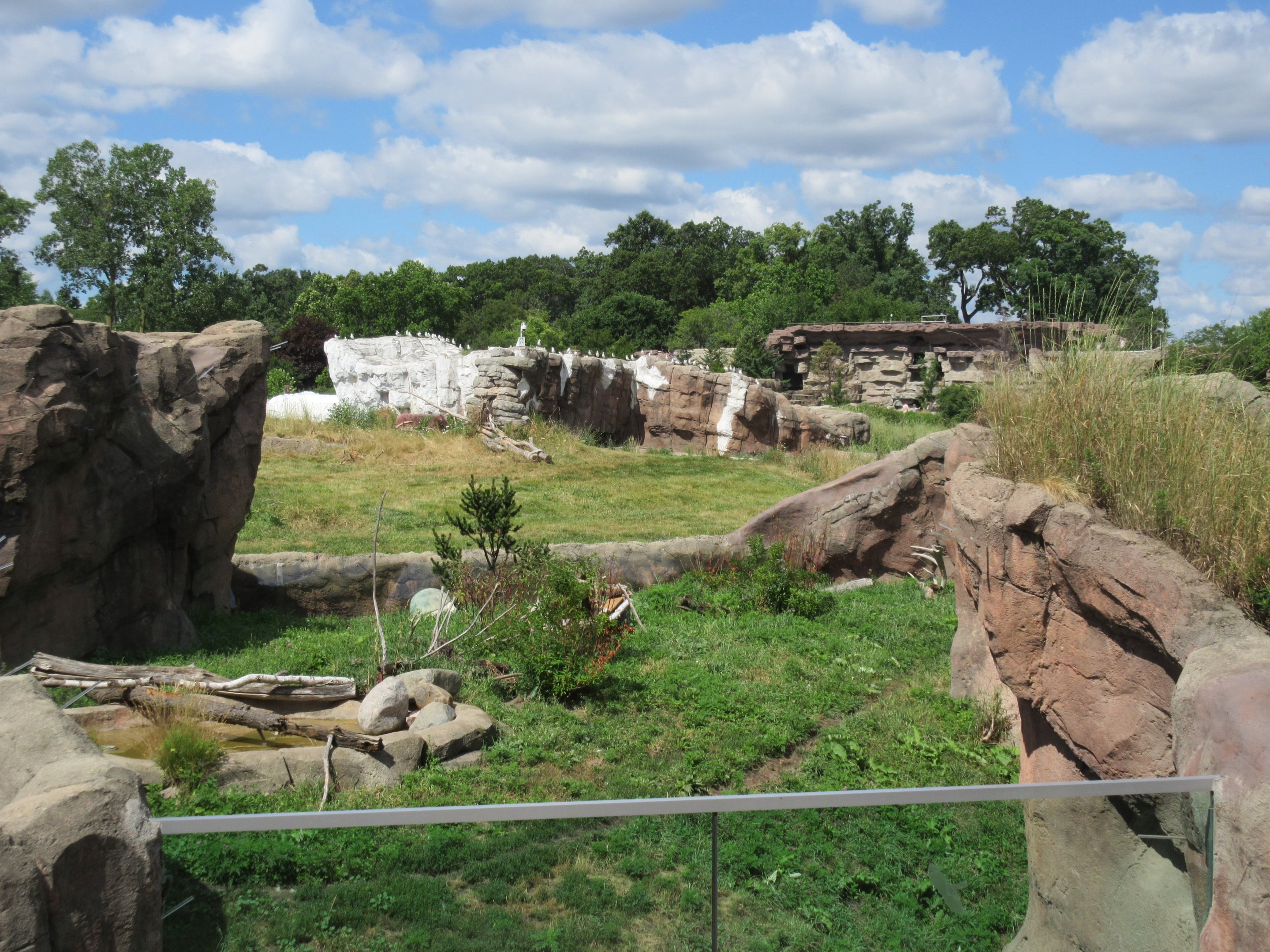 Arctic Fox + Polar Bear + Grizzly Bear Exhibits Panorama