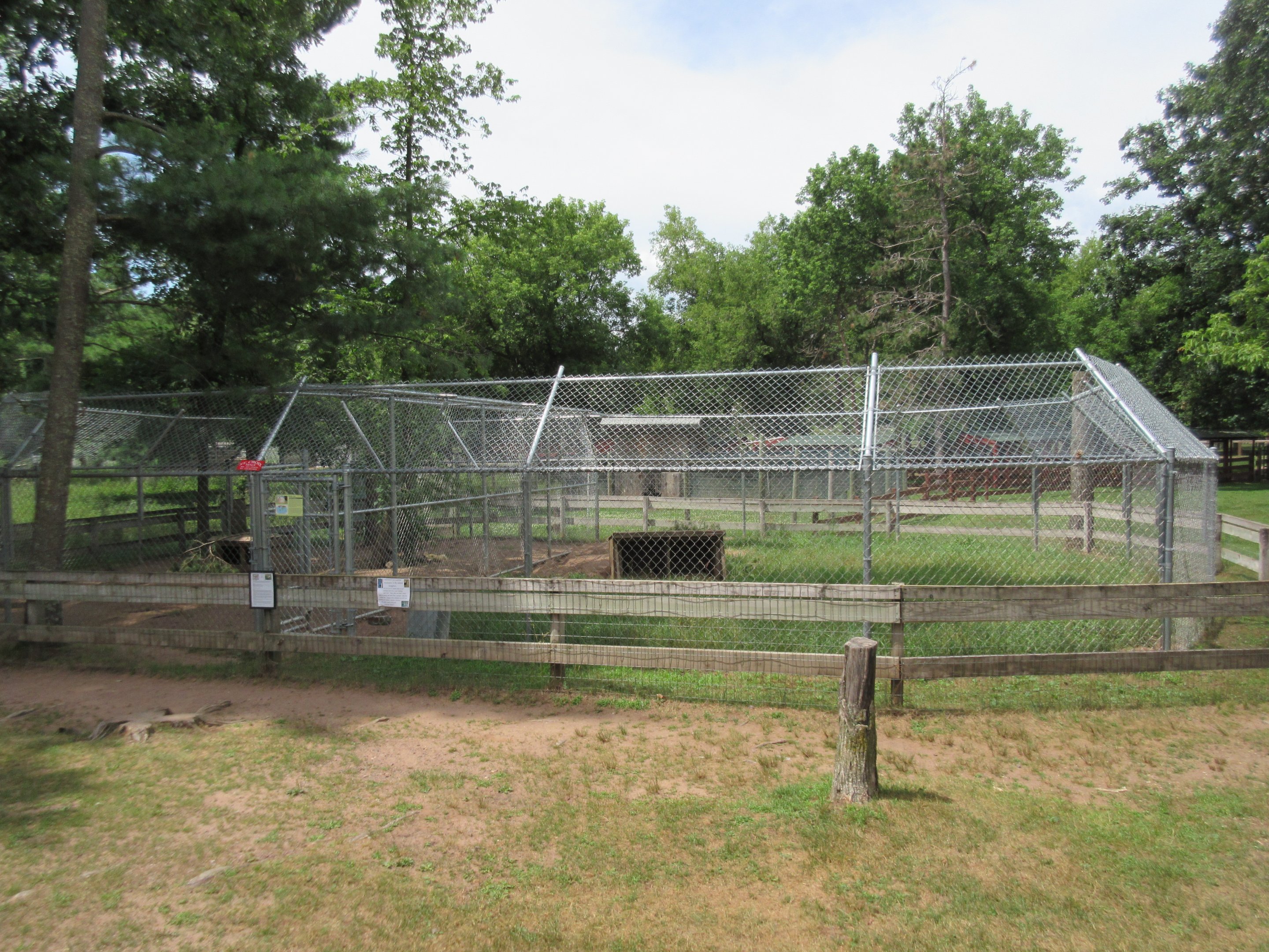 Arctic Fox + Red Fox Exhibits