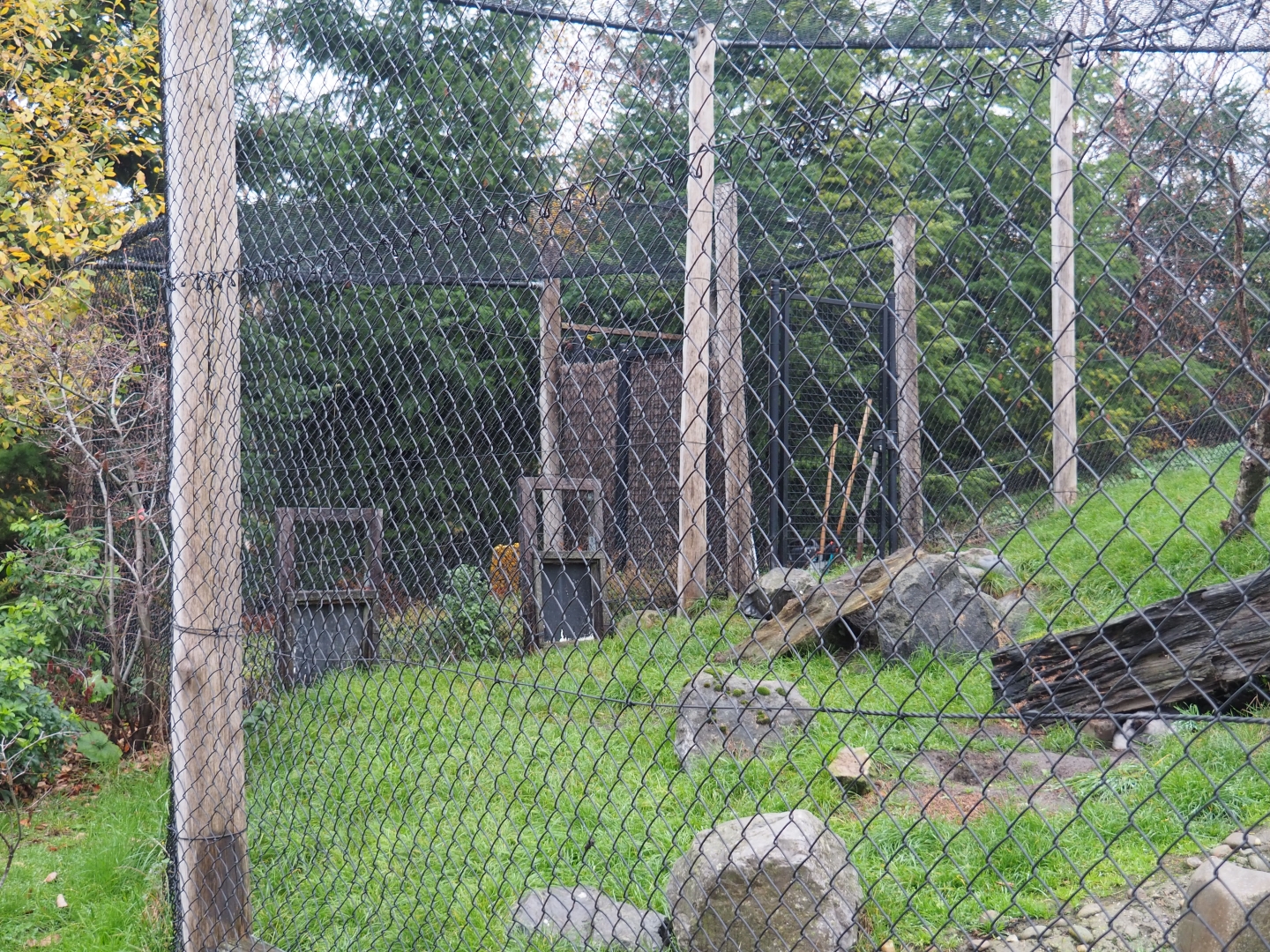 Arctic fox separation cage (Nov 10th, 2018)
