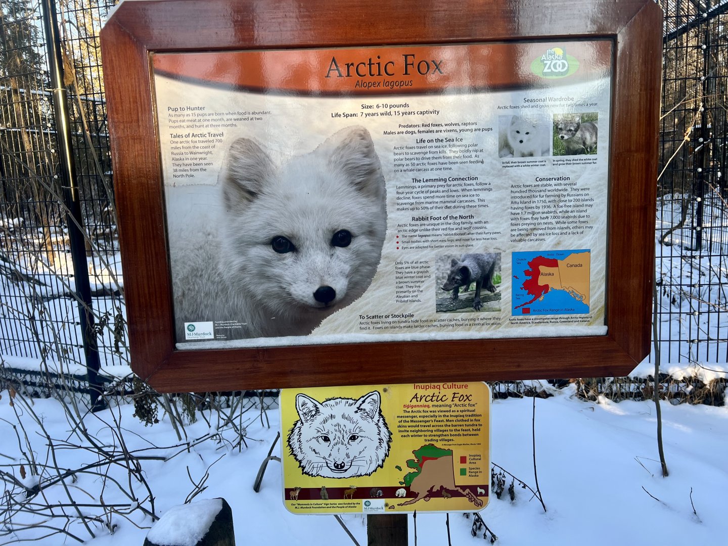 Arctic Fox Sign