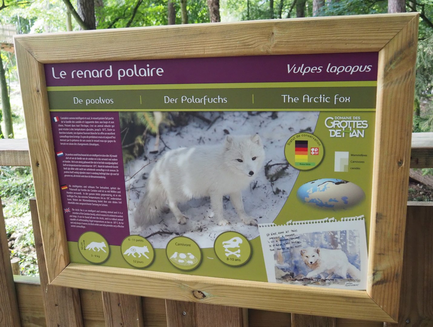 Arctic fox signage, 2021-08-15