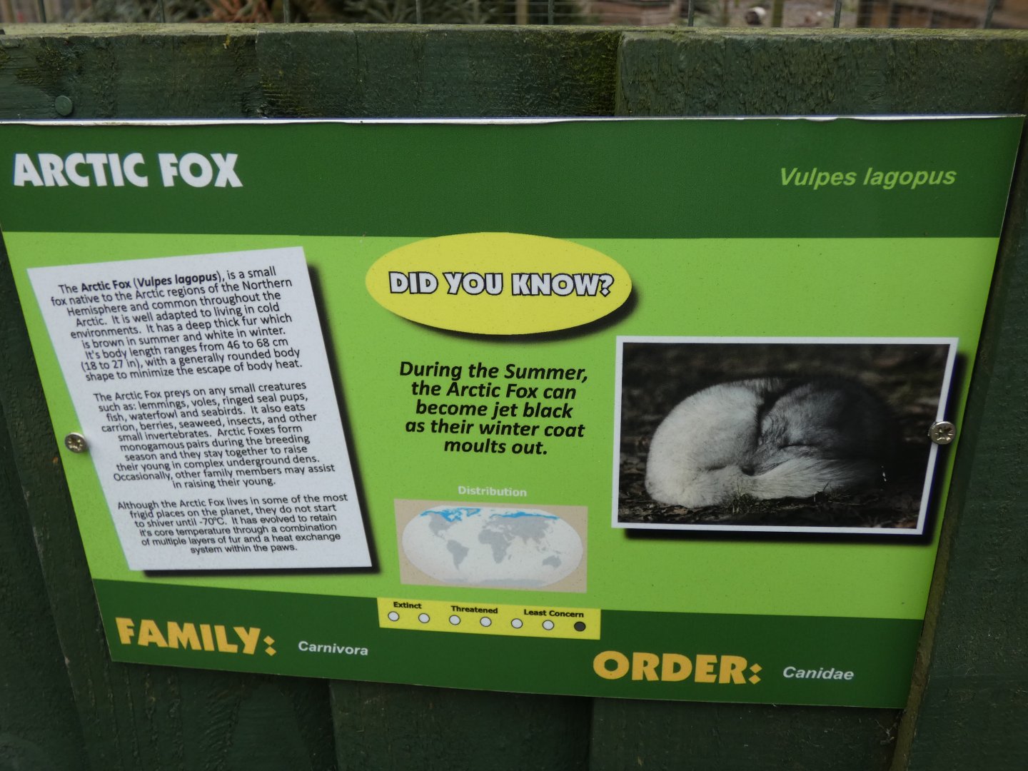 Arctic Fox Signage
