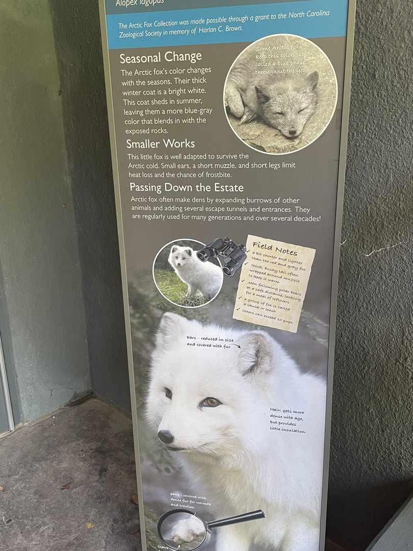 Arctic Fox Signage