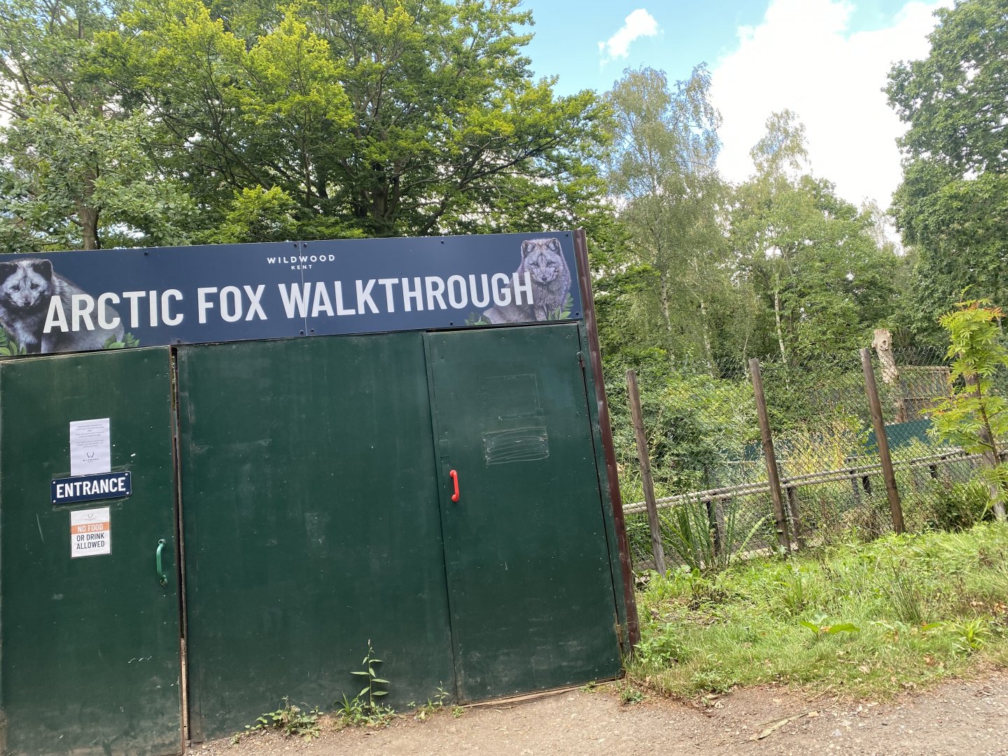 Arctic fox walkthrough 030924