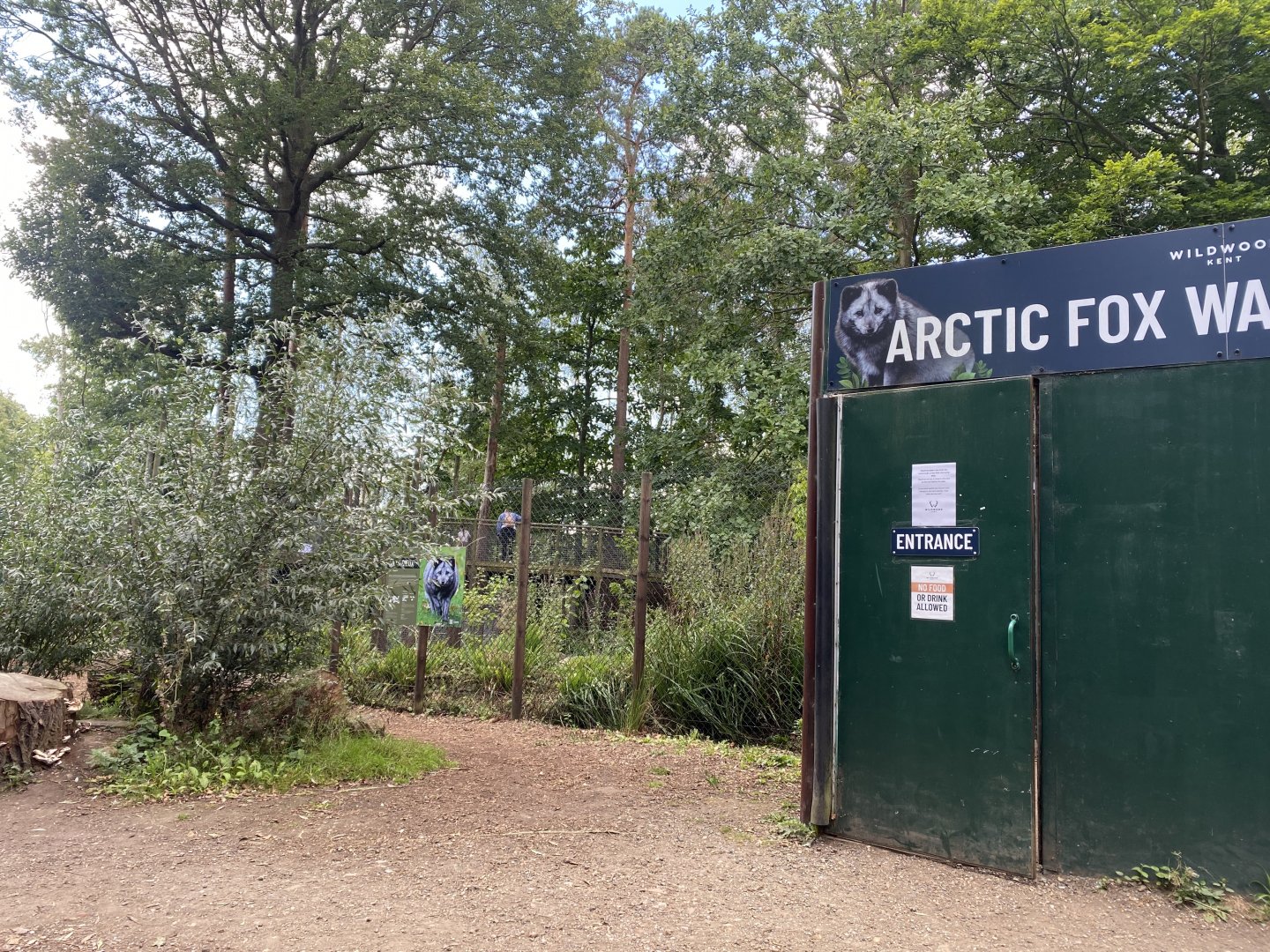 Arctic fox walkthrough 030924