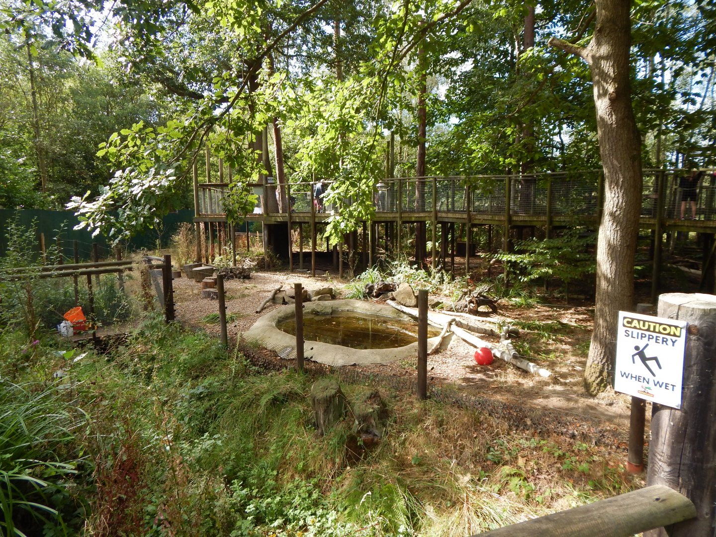 Arctic fox walkthrough 030924