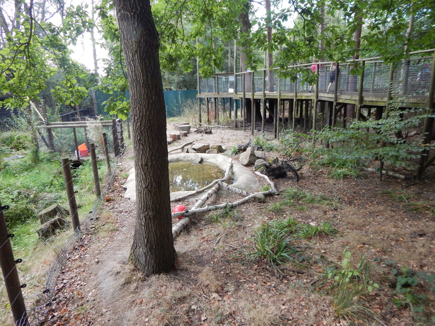 Arctic fox walkthrough 030924