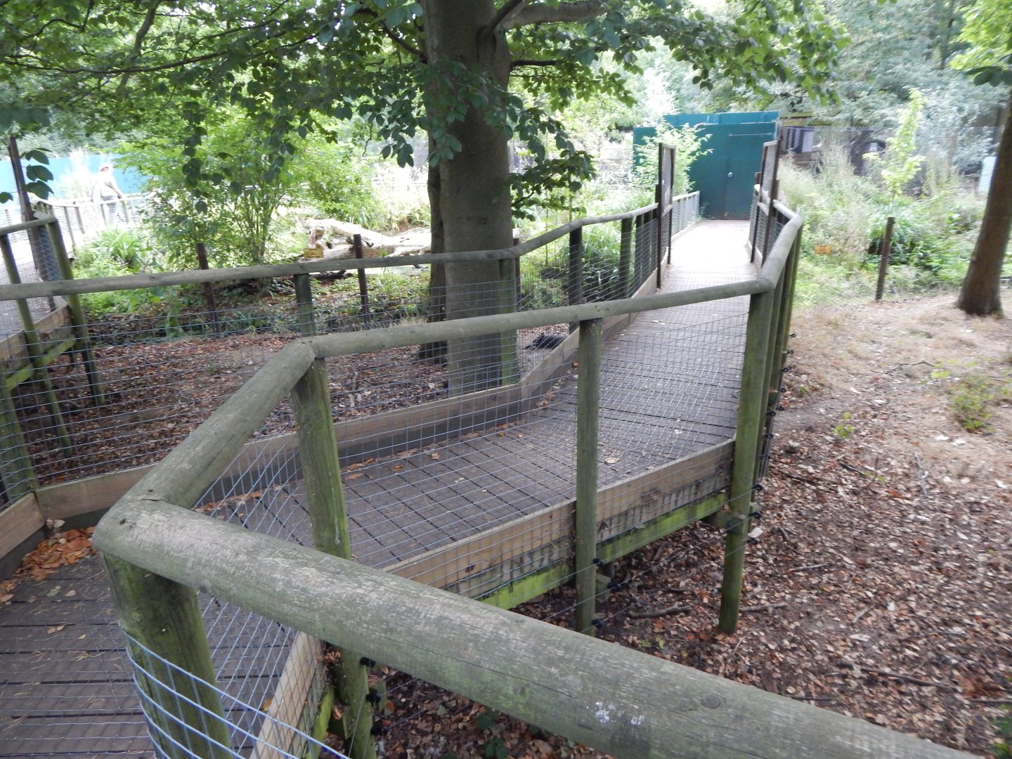 Arctic fox walkthrough 030924