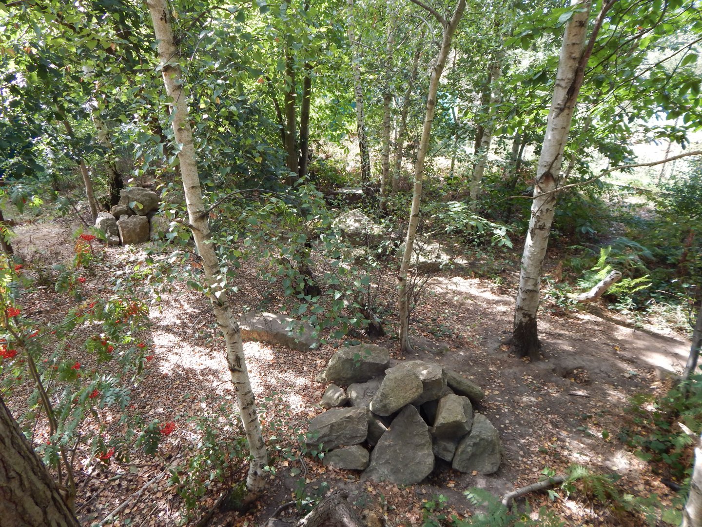 Arctic fox walkthrough 030924