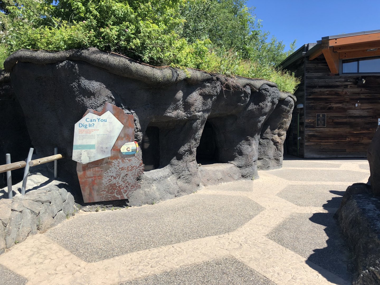 Arctic Ground Squirrel Enclosure at Edmonton Valley Zoo (July 2022)