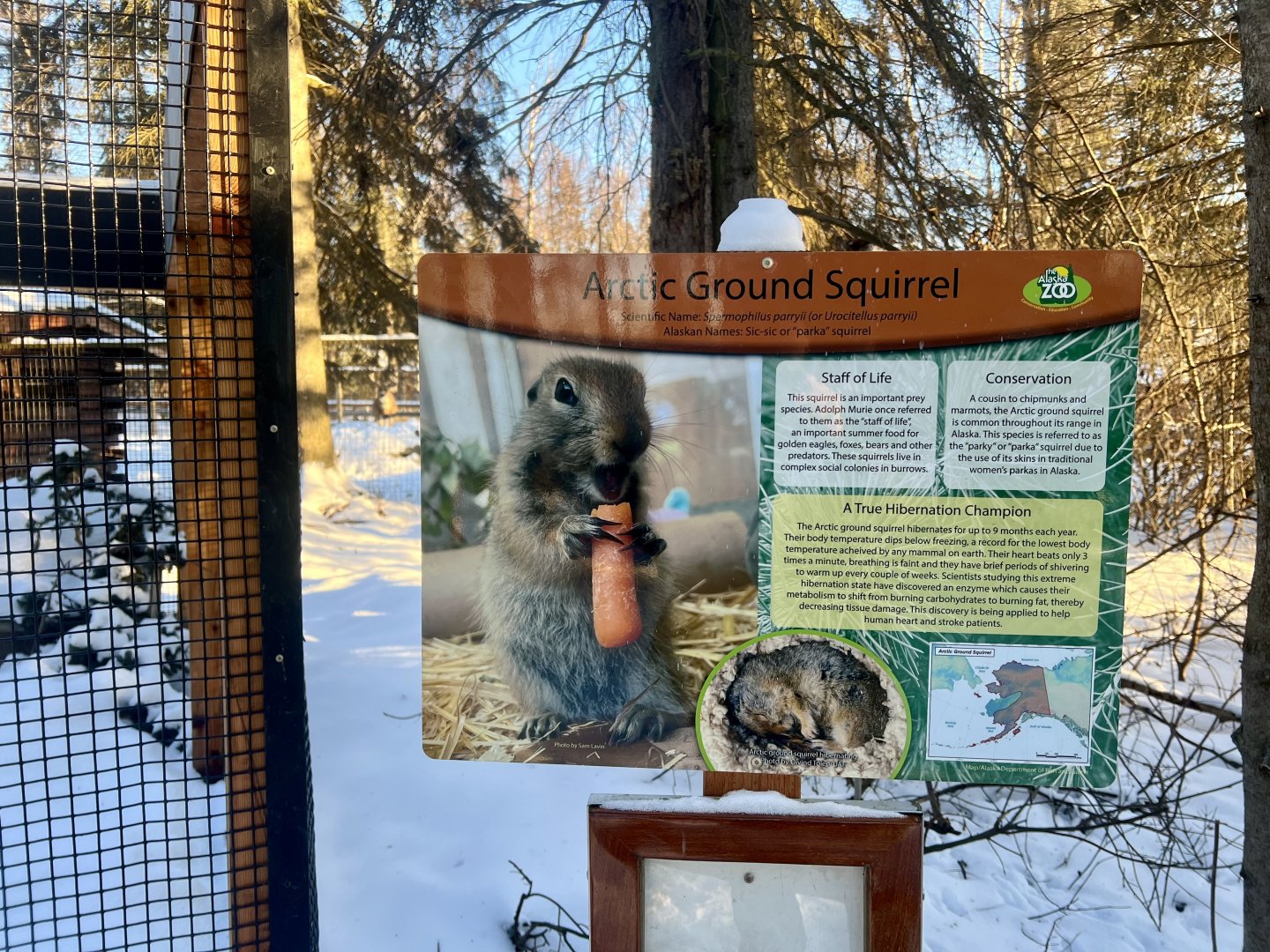 Arctic Ground Squirrel Sign