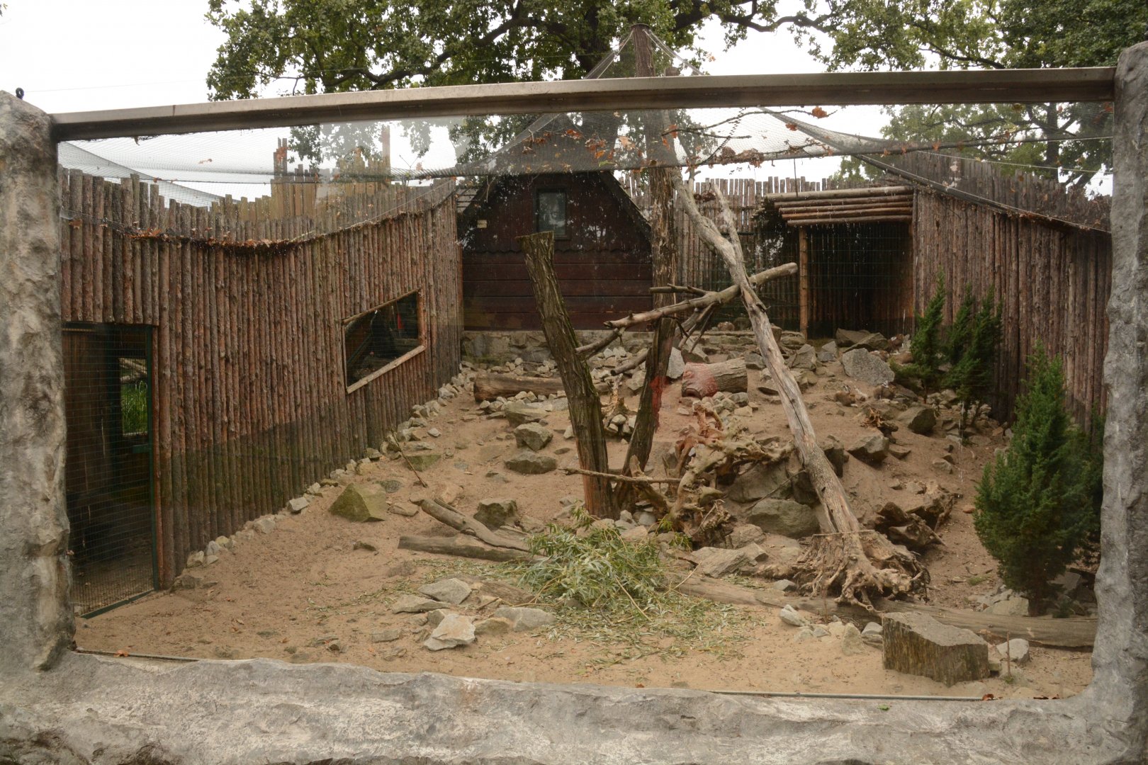Arctic Hare enclosure