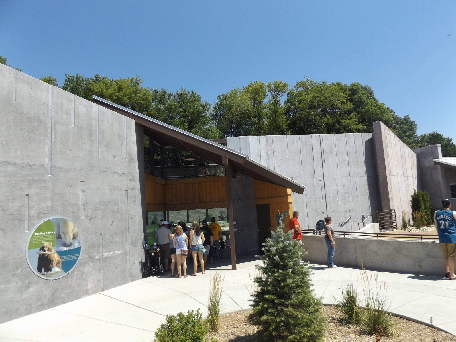 Arctic Passage- Grizzly Bear Exhibit and Seal Exhibit