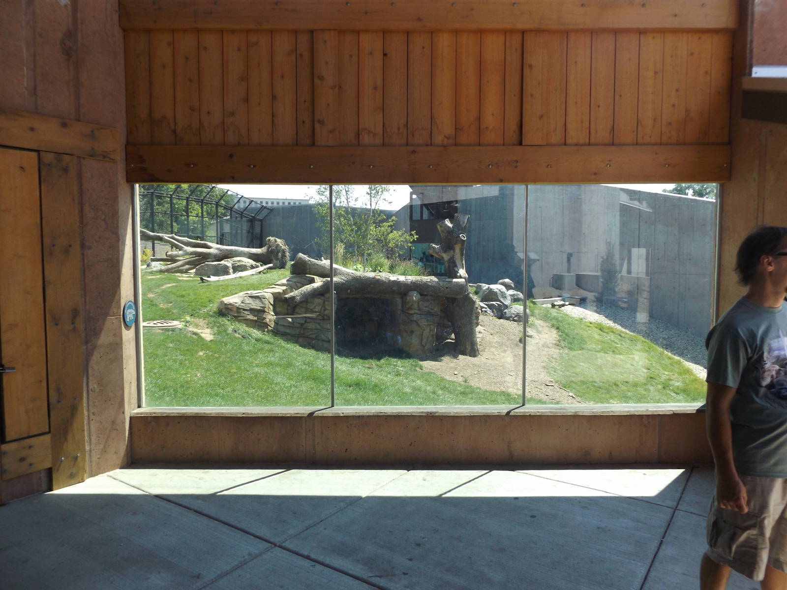Arctic Passage- Grizzly Bear Viewing Window