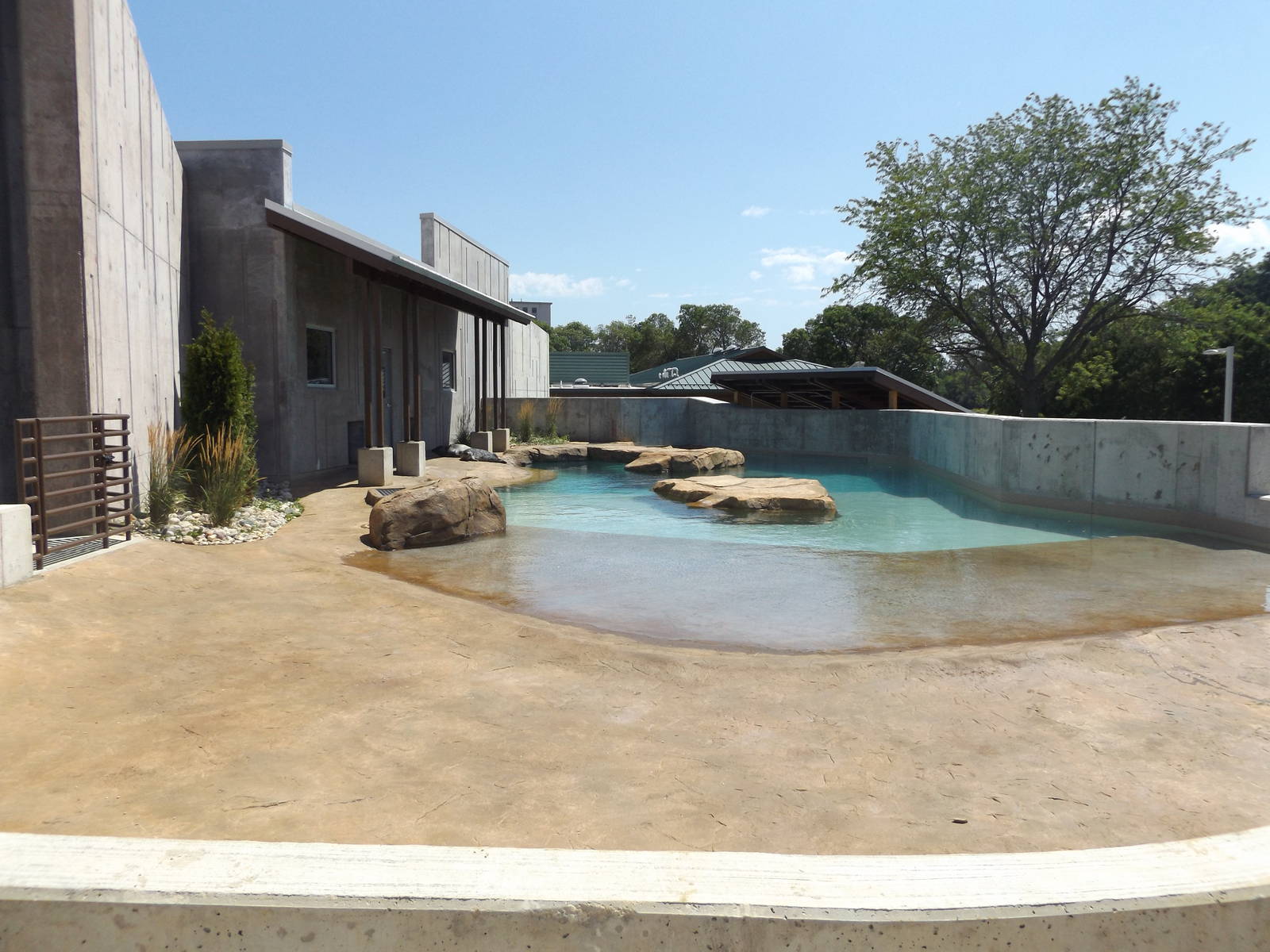 Arctic Passage- Harbor Seal Exhibit