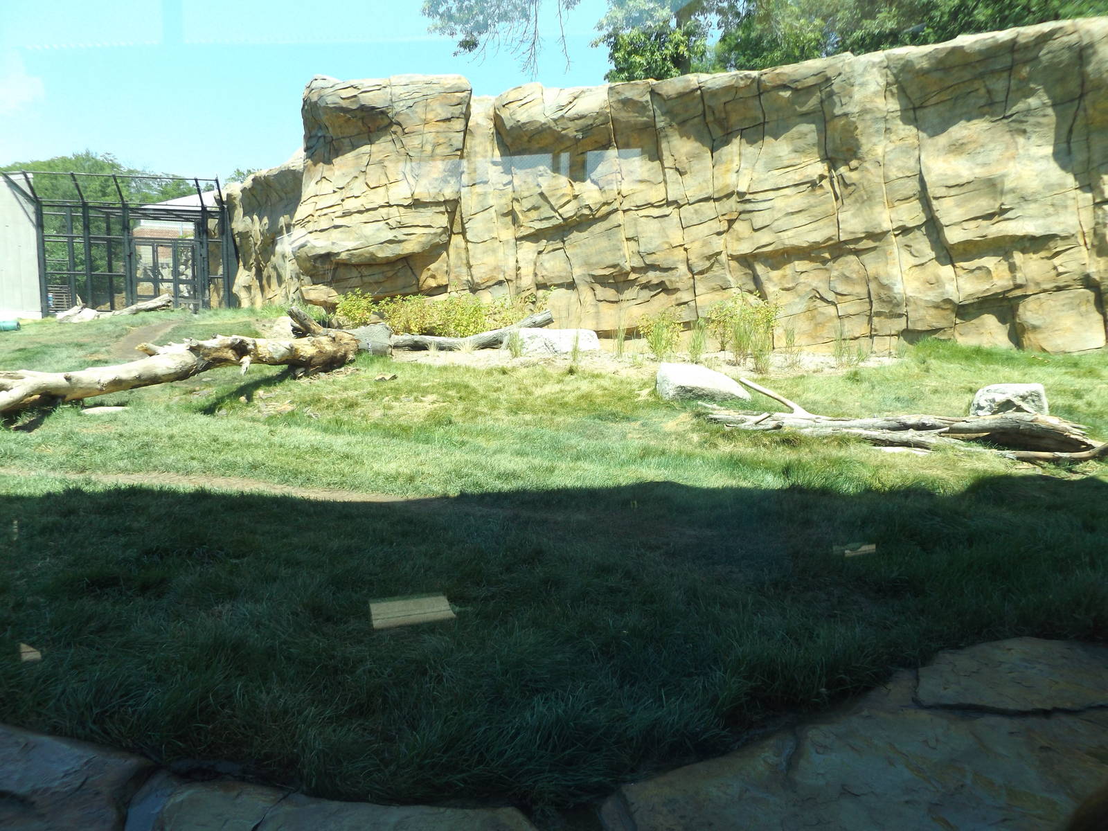 Arctic Passage- Polar Bear Exhibit